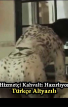Hizmetçi Bana Kahvaltı Hazırlıyor izle (2021)
